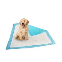 disposable urine pad pet toilet training pads pet pee pads